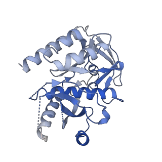 11644_7a5i_73_v1-0
Structure of the human mitoribosome with A- P-and E-site mt-tRNAs