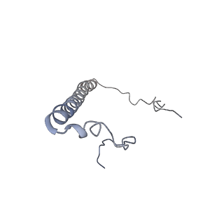 11644_7a5i_83_v1-0
Structure of the human mitoribosome with A- P-and E-site mt-tRNAs