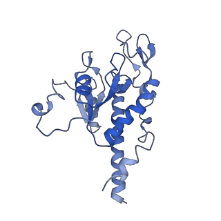 11644_7a5i_B6_v1-0
Structure of the human mitoribosome with A- P-and E-site mt-tRNAs