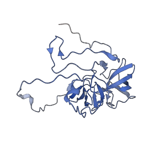 11644_7a5i_D3_v1-0
Structure of the human mitoribosome with A- P-and E-site mt-tRNAs