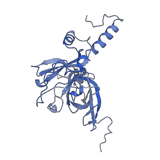 11644_7a5i_E3_v1-0
Structure of the human mitoribosome with A- P-and E-site mt-tRNAs