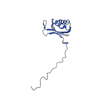 11644_7a5i_E6_v1-0
Structure of the human mitoribosome with A- P-and E-site mt-tRNAs