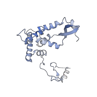 11644_7a5i_F6_v1-0
Structure of the human mitoribosome with A- P-and E-site mt-tRNAs