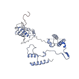 11644_7a5i_G6_v1-0
Structure of the human mitoribosome with A- P-and E-site mt-tRNAs