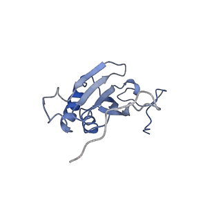 11644_7a5i_I6_v1-0
Structure of the human mitoribosome with A- P-and E-site mt-tRNAs