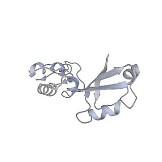 11644_7a5i_J3_v1-0
Structure of the human mitoribosome with A- P-and E-site mt-tRNAs