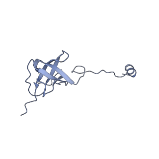 11644_7a5i_J6_v1-0
Structure of the human mitoribosome with A- P-and E-site mt-tRNAs