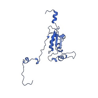 11644_7a5i_K3_v1-0
Structure of the human mitoribosome with A- P-and E-site mt-tRNAs