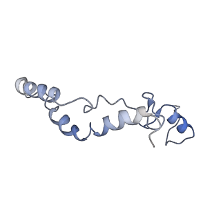 11644_7a5i_K6_v1-0
Structure of the human mitoribosome with A- P-and E-site mt-tRNAs