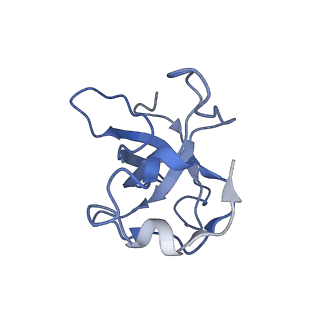 11644_7a5i_L3_v1-0
Structure of the human mitoribosome with A- P-and E-site mt-tRNAs