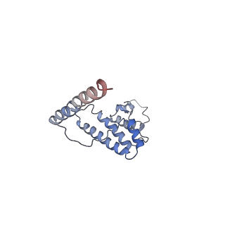 11644_7a5i_L6_v1-0
Structure of the human mitoribosome with A- P-and E-site mt-tRNAs