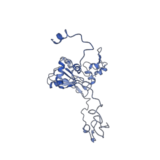 11644_7a5i_M3_v1-0
Structure of the human mitoribosome with A- P-and E-site mt-tRNAs