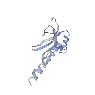 11644_7a5i_M6_v1-0
Structure of the human mitoribosome with A- P-and E-site mt-tRNAs