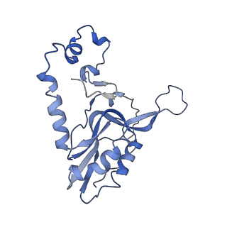 11644_7a5i_N3_v1-0
Structure of the human mitoribosome with A- P-and E-site mt-tRNAs