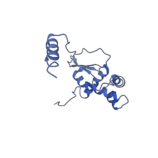 11644_7a5i_O3_v1-0
Structure of the human mitoribosome with A- P-and E-site mt-tRNAs