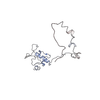 11644_7a5i_O6_v1-0
Structure of the human mitoribosome with A- P-and E-site mt-tRNAs