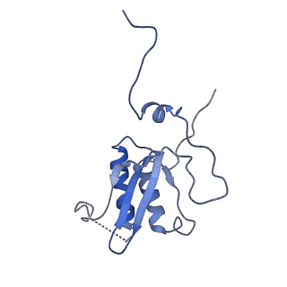 11644_7a5i_P3_v1-0
Structure of the human mitoribosome with A- P-and E-site mt-tRNAs