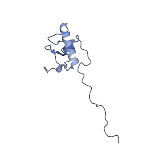 11644_7a5i_P6_v1-0
Structure of the human mitoribosome with A- P-and E-site mt-tRNAs