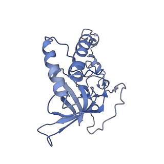 11644_7a5i_Q3_v1-0
Structure of the human mitoribosome with A- P-and E-site mt-tRNAs