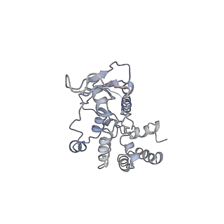 11644_7a5i_R6_v1-0
Structure of the human mitoribosome with A- P-and E-site mt-tRNAs