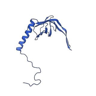 11644_7a5i_S3_v1-0
Structure of the human mitoribosome with A- P-and E-site mt-tRNAs