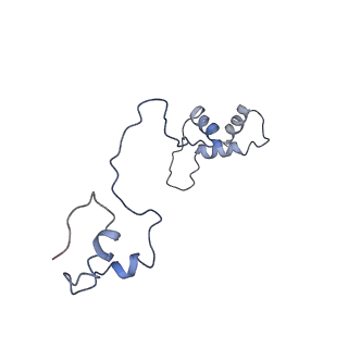 11644_7a5i_S6_v1-0
Structure of the human mitoribosome with A- P-and E-site mt-tRNAs