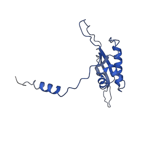 11644_7a5i_T3_v1-0
Structure of the human mitoribosome with A- P-and E-site mt-tRNAs