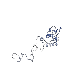 11644_7a5i_T6_v1-0
Structure of the human mitoribosome with A- P-and E-site mt-tRNAs
