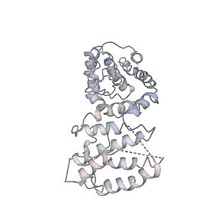 11644_7a5i_V6_v1-0
Structure of the human mitoribosome with A- P-and E-site mt-tRNAs