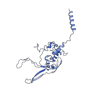 11644_7a5i_X3_v1-0
Structure of the human mitoribosome with A- P-and E-site mt-tRNAs