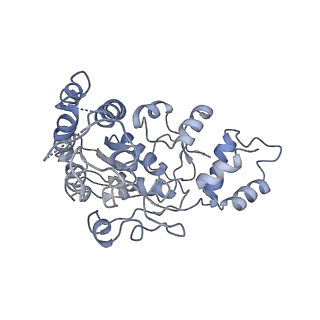 11644_7a5i_X6_v1-0
Structure of the human mitoribosome with A- P-and E-site mt-tRNAs