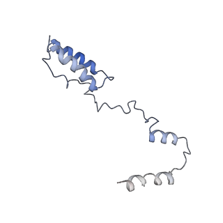 11644_7a5i_Y6_v1-0
Structure of the human mitoribosome with A- P-and E-site mt-tRNAs