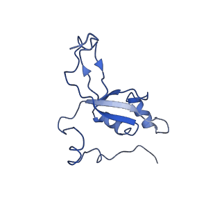 11644_7a5i_Z3_v1-0
Structure of the human mitoribosome with A- P-and E-site mt-tRNAs