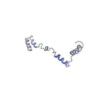 11644_7a5i_Z6_v1-0
Structure of the human mitoribosome with A- P-and E-site mt-tRNAs