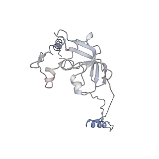 11644_7a5i_a6_v1-0
Structure of the human mitoribosome with A- P-and E-site mt-tRNAs