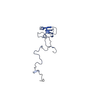 11644_7a5i_b3_v1-0
Structure of the human mitoribosome with A- P-and E-site mt-tRNAs