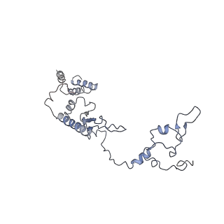 11644_7a5i_b6_v1-0
Structure of the human mitoribosome with A- P-and E-site mt-tRNAs