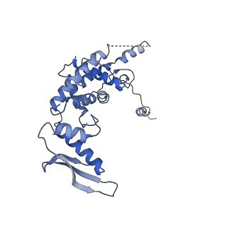 11644_7a5i_c3_v1-0
Structure of the human mitoribosome with A- P-and E-site mt-tRNAs