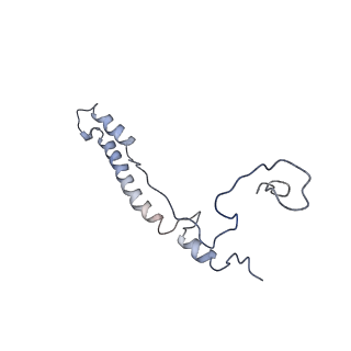 11644_7a5i_c6_v1-0
Structure of the human mitoribosome with A- P-and E-site mt-tRNAs