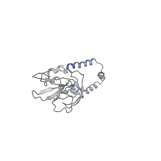 11644_7a5i_e3_v1-0
Structure of the human mitoribosome with A- P-and E-site mt-tRNAs