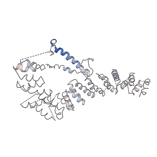 11644_7a5i_e6_v1-0
Structure of the human mitoribosome with A- P-and E-site mt-tRNAs
