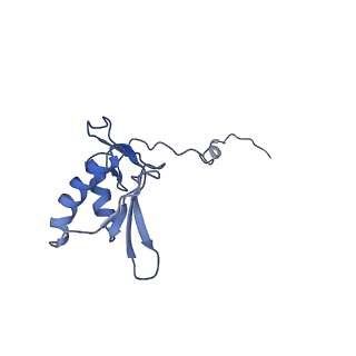 11644_7a5i_g3_v1-0
Structure of the human mitoribosome with A- P-and E-site mt-tRNAs