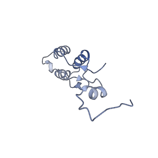 11644_7a5i_h3_v1-0
Structure of the human mitoribosome with A- P-and E-site mt-tRNAs
