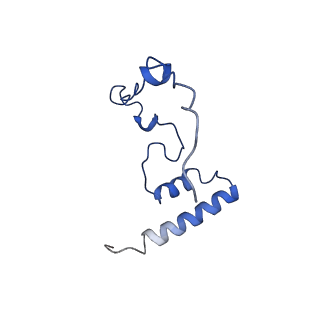 11644_7a5i_i3_v1-0
Structure of the human mitoribosome with A- P-and E-site mt-tRNAs