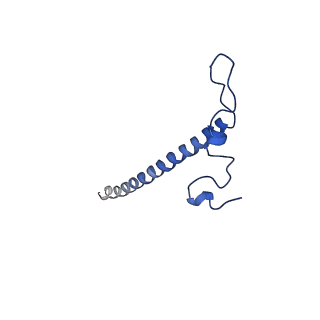 11644_7a5i_j3_v1-0
Structure of the human mitoribosome with A- P-and E-site mt-tRNAs