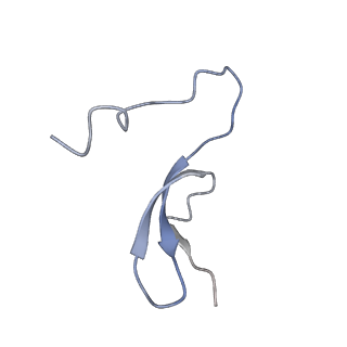 11644_7a5i_m3_v1-0
Structure of the human mitoribosome with A- P-and E-site mt-tRNAs