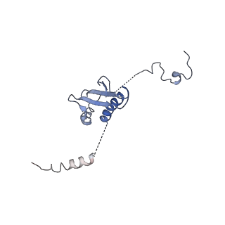 11644_7a5i_p3_v1-0
Structure of the human mitoribosome with A- P-and E-site mt-tRNAs