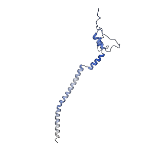 11644_7a5i_q3_v1-0
Structure of the human mitoribosome with A- P-and E-site mt-tRNAs
