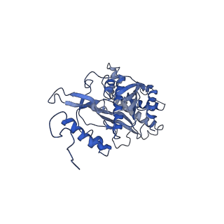 11644_7a5i_s3_v1-0
Structure of the human mitoribosome with A- P-and E-site mt-tRNAs