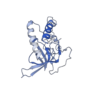 11645_7a5j_Q_v1-0
Structure of the split human mitoribosomal large subunit with P-and E-site mt-tRNAs